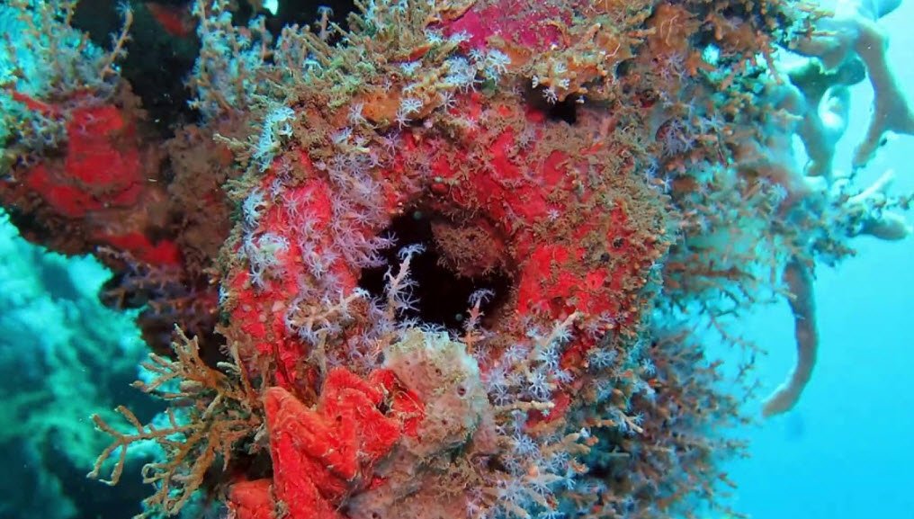 Honiara , Guadalcanal Province, Solomon Islands